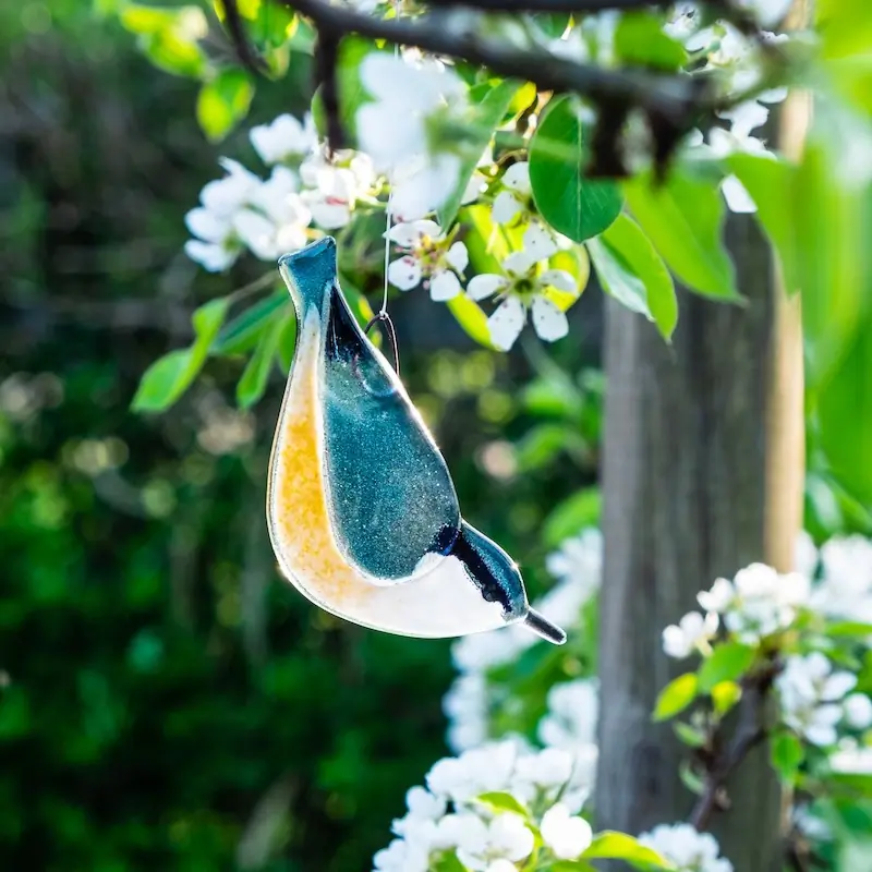 Wood Nuthatch (glass)