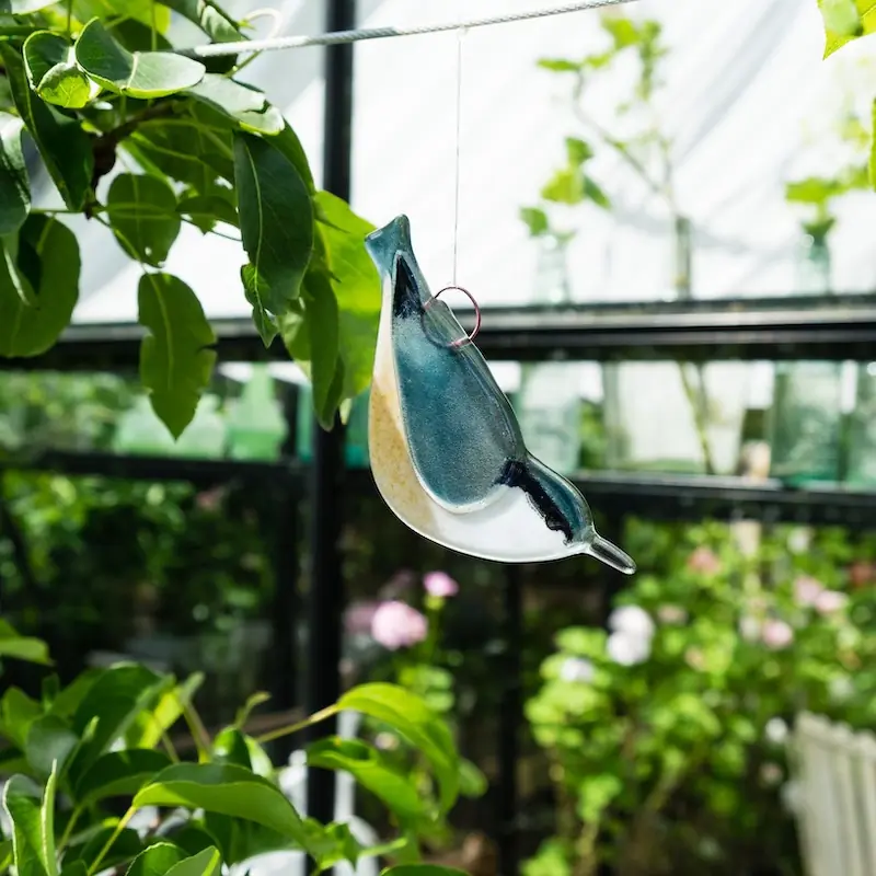 Wood Nuthatch (glass)