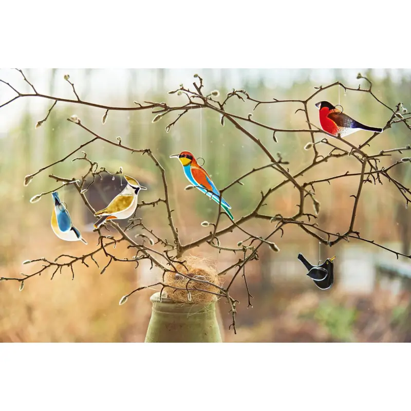 Wood Nuthatch (glass)