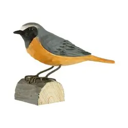 Redstart (wood)