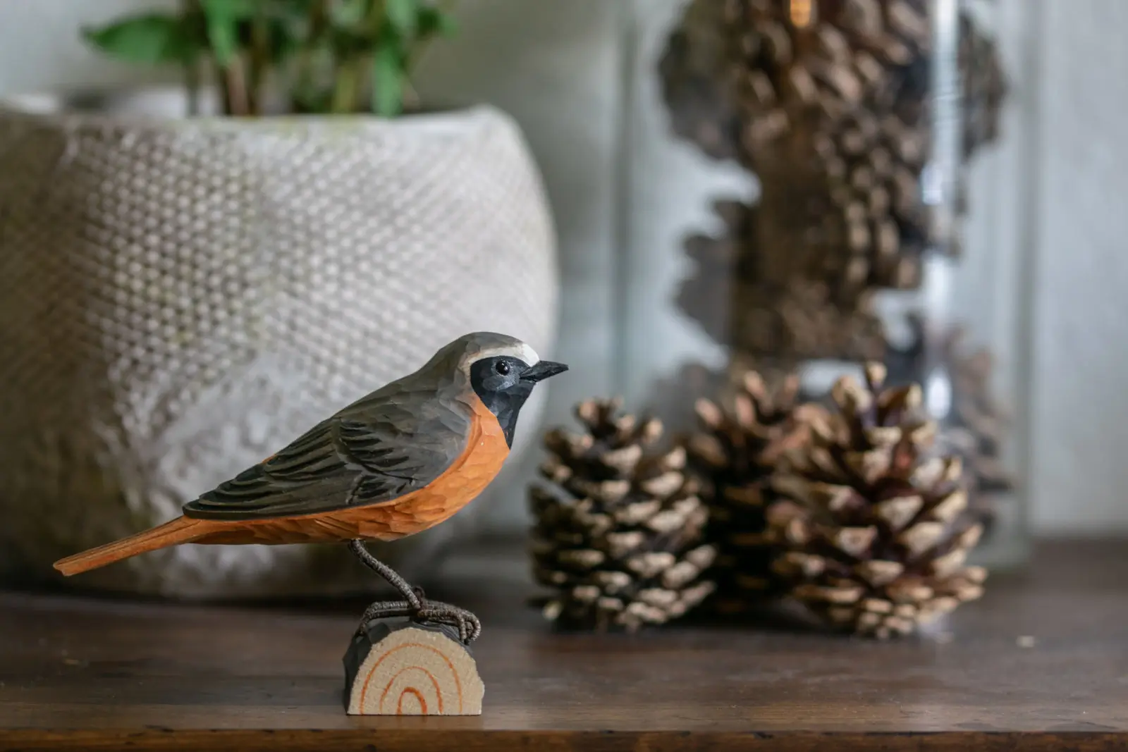 Redstart (wood)