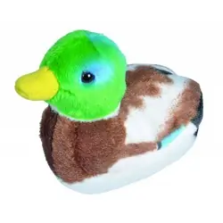 Mallard (with sound)