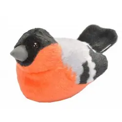Bullfinch (with sound)