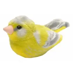 Greenfinch (with sound)