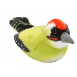 Green Woodpecker (with sound)