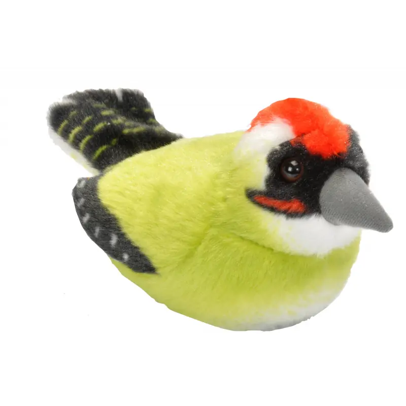 Green Woodpecker (with sound)