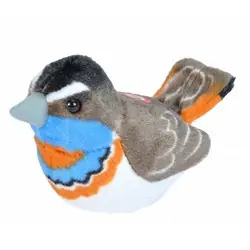 Bluethroat (with sound)