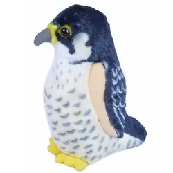 Peregrine Falcon (with sound)