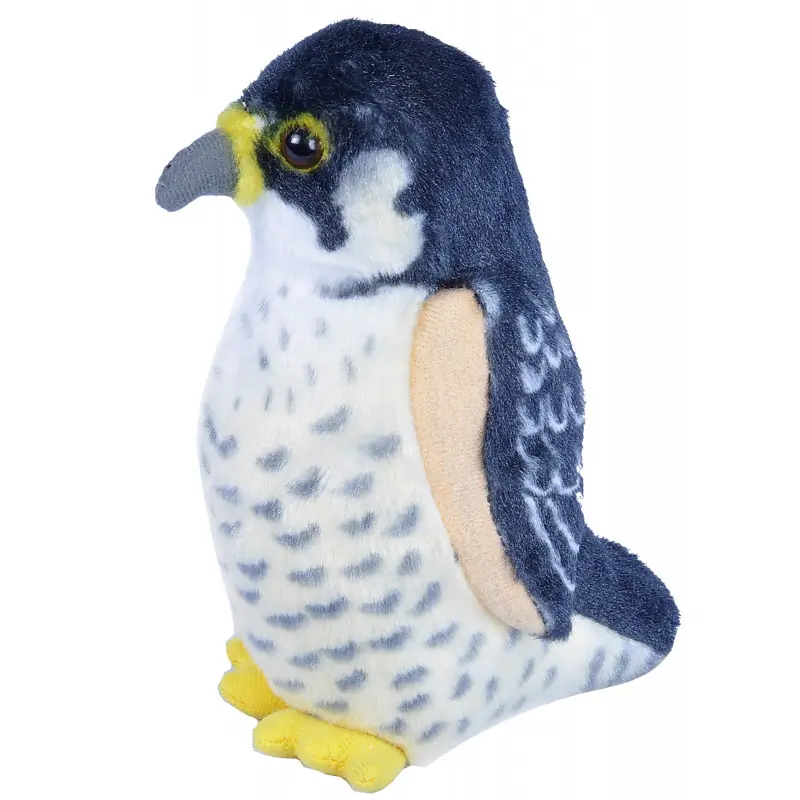 Peregrine Falcon (with sound)