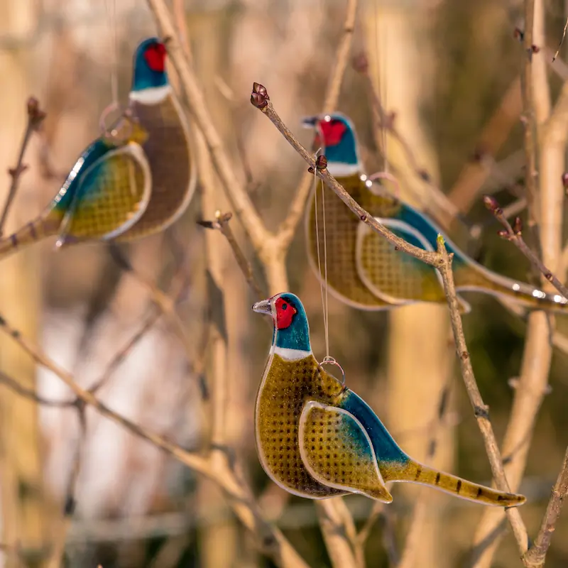 Pheasant (glass)