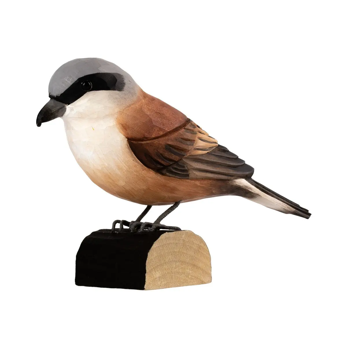 Red-backed Shrike (wood)