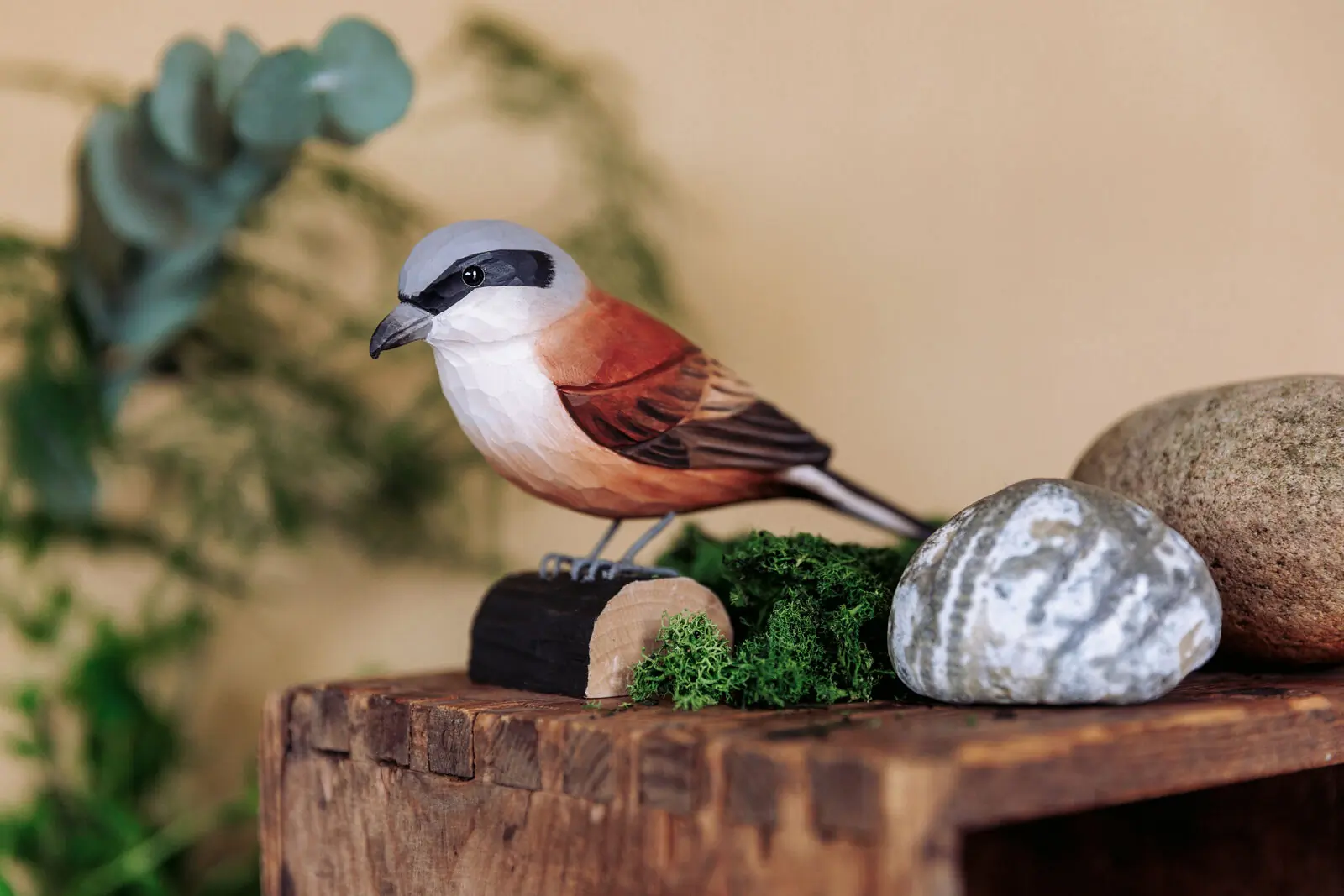 Red-backed Shrike (wood)