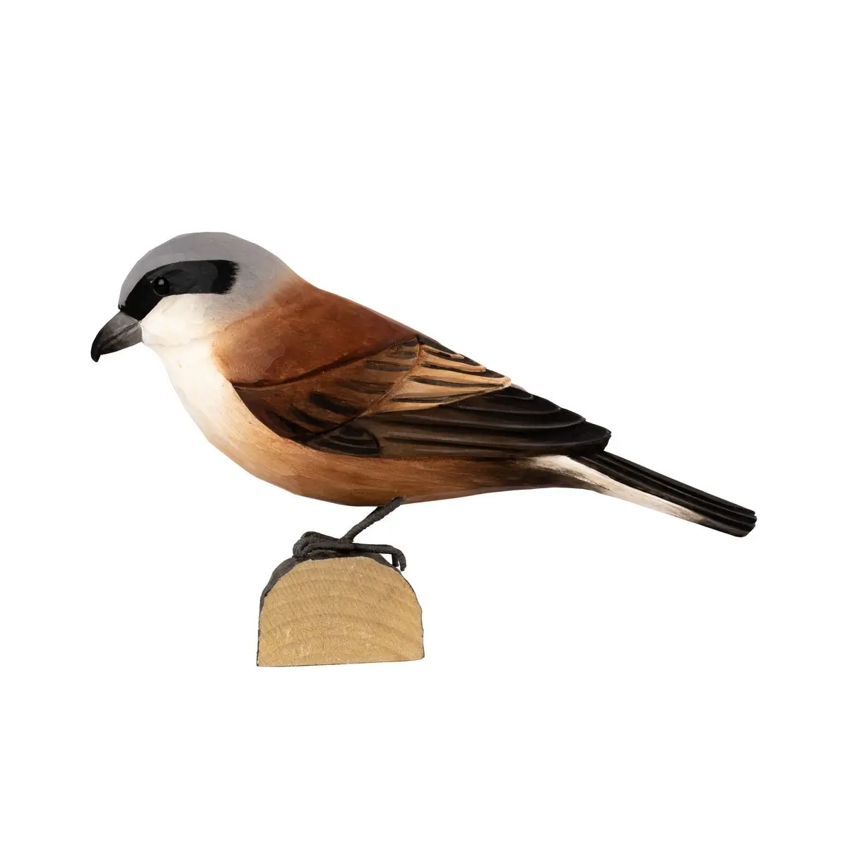 Red-backed Shrike (wood)