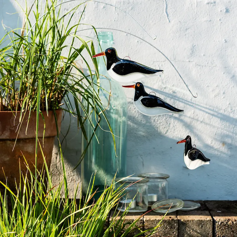 Oystercatcher (glass)