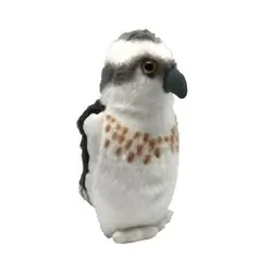Osprey (with sound)