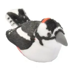 Great Spotted Woodpecker (with sound)